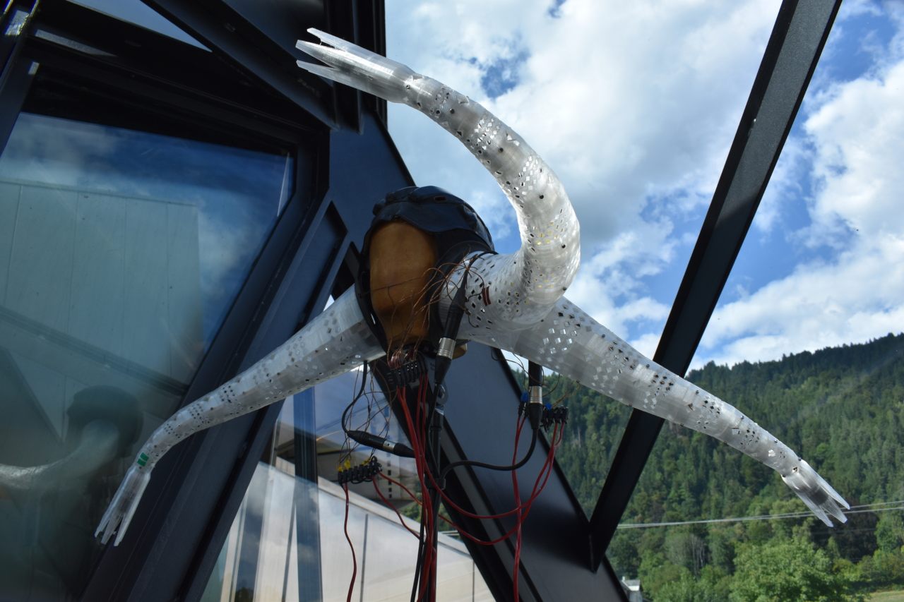 detail of the Enantiomorph installation by Hanns Holger Rutz