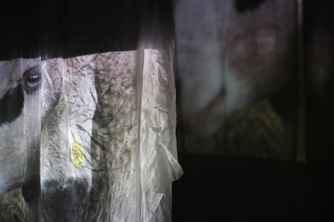 video installation with different layers of fabric