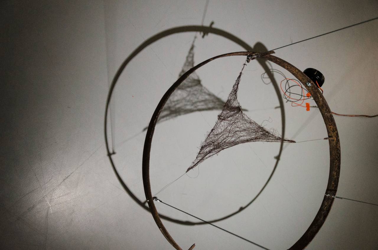 Detail of the Rogues at Mestna Galerij